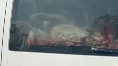 Adana'da mide bulandıran görüntü