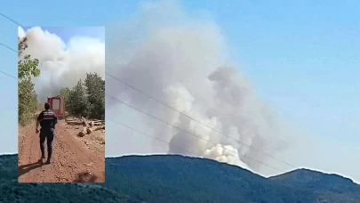 Karabük'te orman yangını çıktı