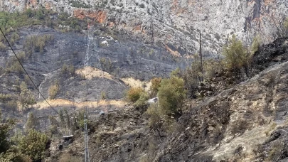 Mersin Anamur'daki orman yangını büyük ölçüde kontrol altına alındı