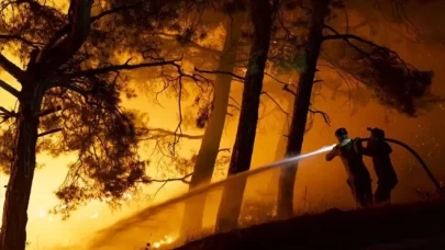 Mersin'de 15 bin dönüm orman küle döndü!