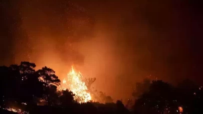 İzmir'deki orman yangınına ilişkin 3 kişi gözaltına alındı