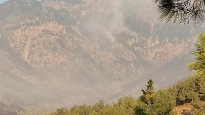 Hatay'da orman yangını ikinci gününde: 540 kişi tahliye edildi