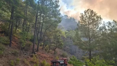 Mersin'de orman yangını!