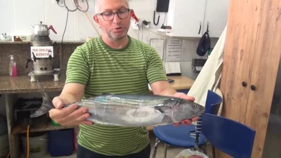 Sinop’ta tezgahlara sezonun ilk torik balığı düştü