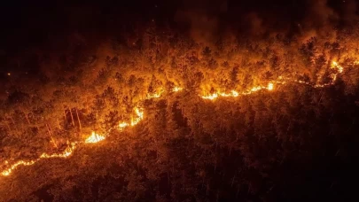 Ciğerlerimiz yandı! Türkiye'de bir ayda 12 bin 752 futbol sahası büyüklüğünde orman kül oldu