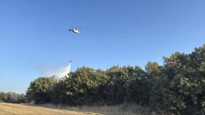 Ezine, Enez ve Şehzadeler'deki yangınlar kontrol altında