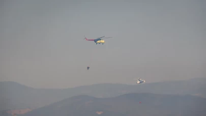 Bursa'da makilik alanda çıkan yangın kontrol altına alındı