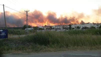 Edirne'de tarlada çıkan yangın ormanlık alana doğru ilerliyor