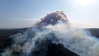 Gelibolu'da çıkan orman yangını dron ile görüntülendi