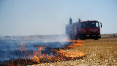 Edirne'de anız yangını