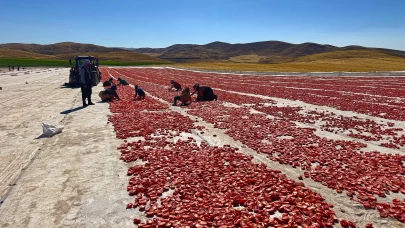 Ziyarete gelmişlerdi, atıl arazileri tarıma kazandırdılar