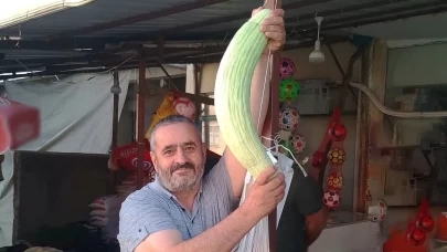 Elazığ'da dev acur hayrete düşürdü