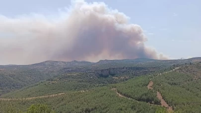 Mersin'de orman yangını