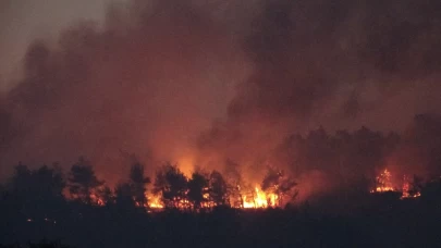 Çanakkale’deki orman yangınına karadan müdahale devam ediyor