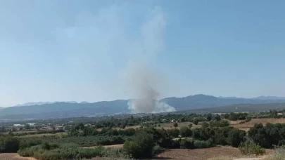 Osmaniye’nin Sumbas ilçesinde orman yangını başladı