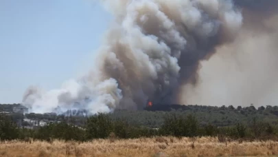Çanakkale'de orman yangını! Vatandaşlara "Sokağa çıkmayın" uyarısı