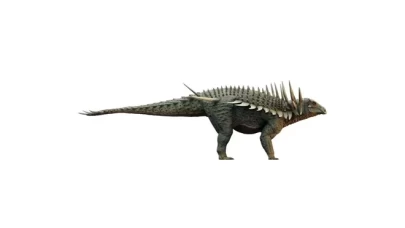 Fas’ta dünyanın en eski zırhlı dinozoru keşfedildi