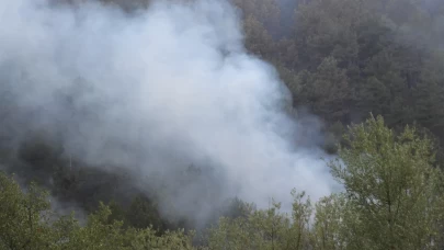 Bolu'daki orman yangını kısmi olarak kontrol altına alındı