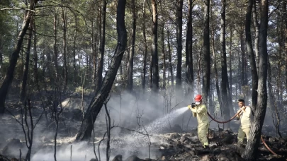 Muğla'da çıkan orman yangını kontrol altına alındı