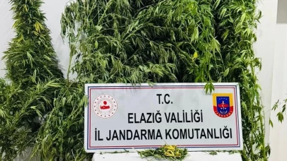 Elazığ’da uyuşturucuyla mücadele