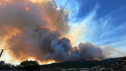 Bursa'daki orman yangını kontrol altına alındı
