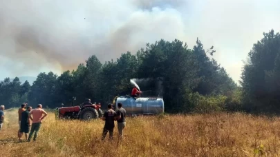 Ormanlık alanda yangın