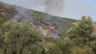 Bursa'daki orman yangını kontrol altına alındı