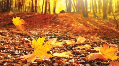 Eylül ayı modasıyla dolabınızı sonbahara hazırlayın