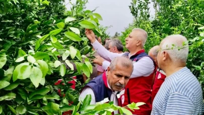 Hatay'da narenciye bahçeleri zararlı organizmalara karşı incelendi