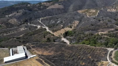 Kocaeli Karamürsel'deki orman yangını kontrol altında