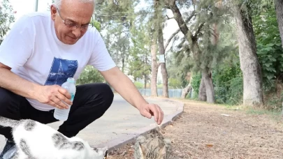 Başkan Yusuf Kanlı’dan “Bir kap su, bir kap mama” çağrısı!