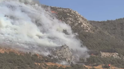 Hatay'da ormanlık alanda yangın