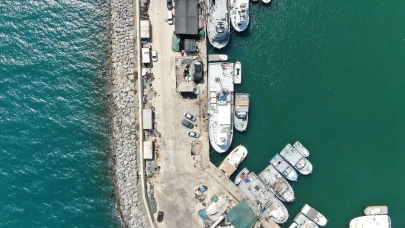 İzmir'de deniz kirliliği balığı vurdu: Sardalyasız sezon kapıda