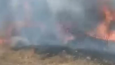 Karabük’te otluk alanda çıkan yangın korkuttu