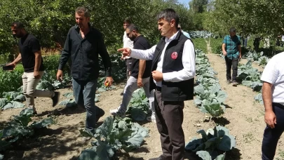 Devlet desteği ile kurduğu sistemle hem işçilikten hem de verimden kazandı