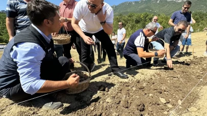80 Bin Çiçekten Yarım Kilo! "Dünyanın En Pahalı Baharatı"nın Kilosu Altınla Yarışıyor