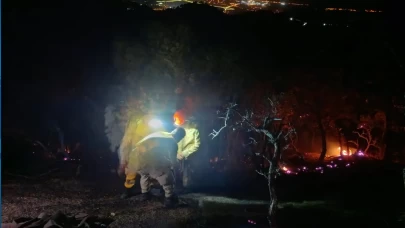 Denizli'deki orman yangını Aydın'a sıçradı!