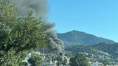 Bodrum'da iş yerinin deposunda çıkan yangın söndürüldü