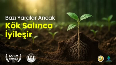 Tarım Kredi 62 bin fidan bağışı ile geleceğe nefes oluyor