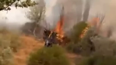 Rüzgar yangını büyüttü, ekipler 1 saatte kontrol altına aldı