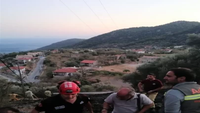 Muğla’da zeytinlikte çıkan yangın 1 saatte söndürüldü