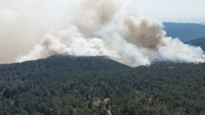 Sinop'ta orman yangını: Ekiplerin müdahalesi başladı