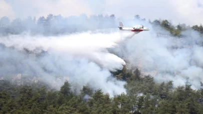 7 ildeki orman yangınları tamamen kontrol altına alındı