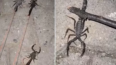 Evler ve sokaklar yürünmez halde...