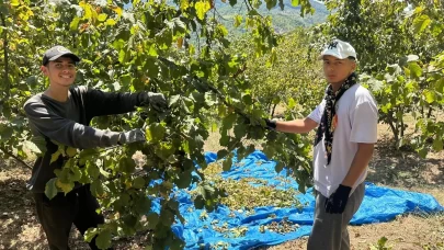 Fırsatçılık Tavan Yaptı! Tırpan Fiyatları 1 Ayda Katlandı, Üretici Ayaklandı
