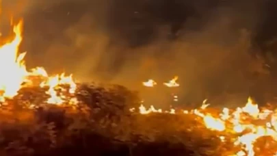 Bitlis’te örtü yangını