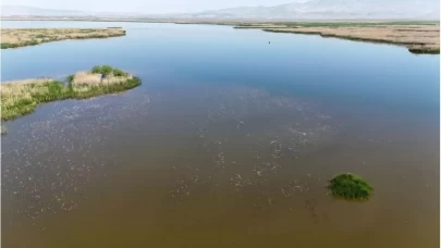 Eber Gölü'ne giriş çıkışlar yasaklandı