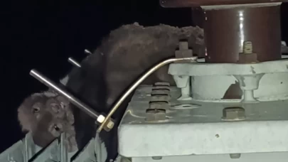 Konya'da elektrik kesintilerinin sebebi sansar çıktı