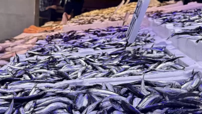 İşte en çok satılan balıklar ve fiyatları...