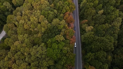 Bolu-Seben yolunda muhteşem sonbahar güzelliği
